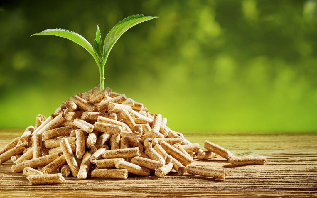 Quali sono i pellet migliori: ecco come scegliere il combustibile più efficiente